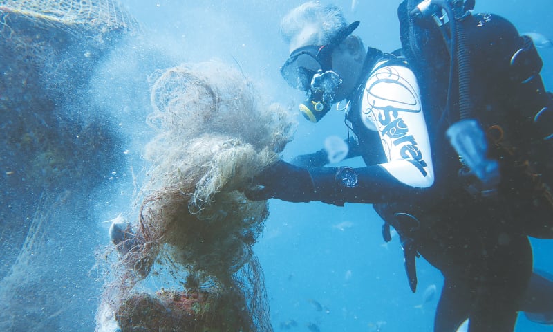 Scuba Diving Safety Tips post thumbnail image